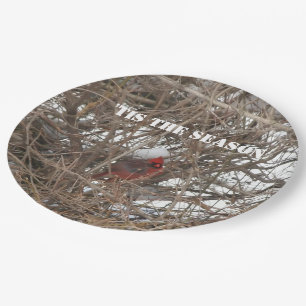 Red Cardinal Snow Branches Paper Plate