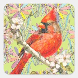 red cardinal square sticker