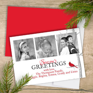 Red Cardinal Woodland Winter Tree Multi Photo Holiday Card