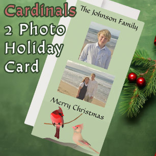 Red Cardinals Christmas Birds  Light Green Holiday Card