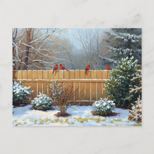 Red Cardinals on the Wooden Backyard Fence  Postcard