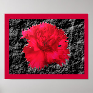 Red Carnation Floral Fantasy Print