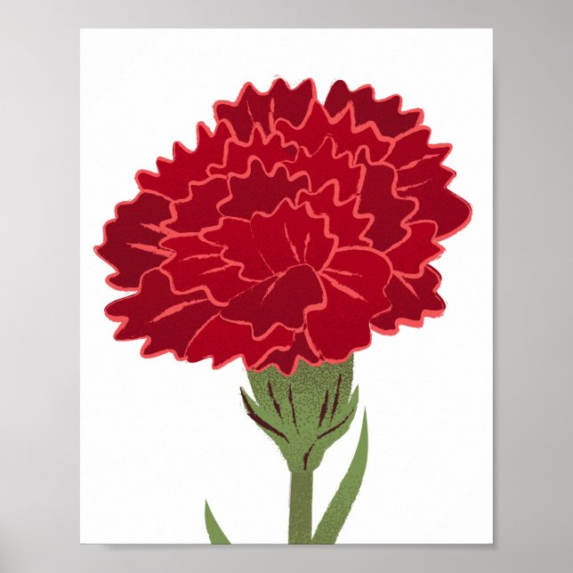 Red Carnation Flower  Poster (Front)