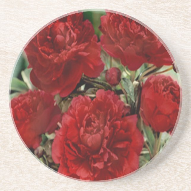 Red Carnation Flowers Coaster (Front)
