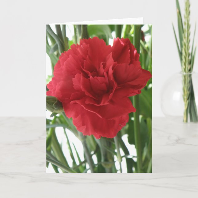 Red Carnation Greeting Card (Front)