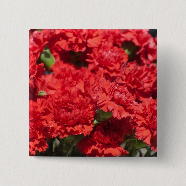 Red carnations 15 cm square badge (Front)