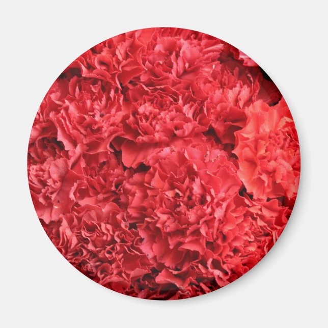 Red Carnations Background Magnet (Front)