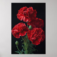 Red Carnations Flower Art Print Poster