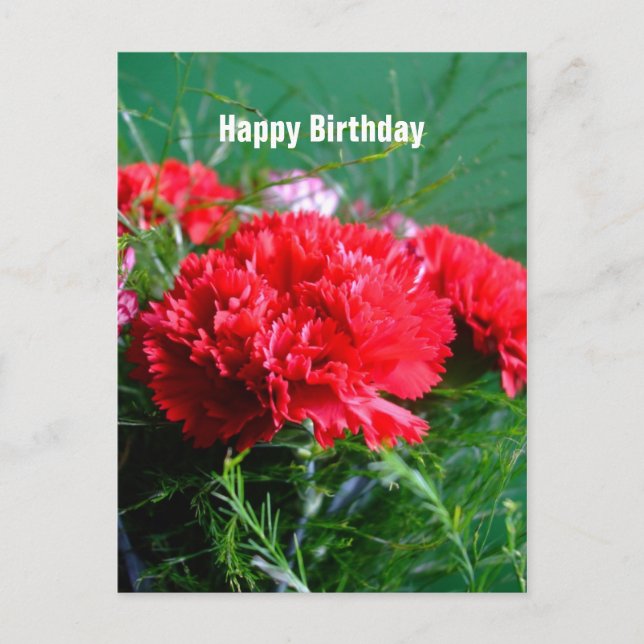 Red Carnations Happy Birthday Postcard (Front)