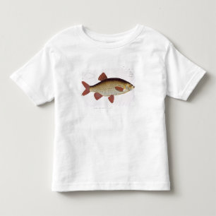 Red Carp (Cyprinus Erithrophthalmus) plate I from Toddler T-Shirt