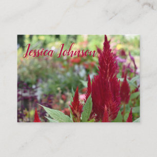 Red Celosia Flower Floral Nature Garden Photograph Business Card
