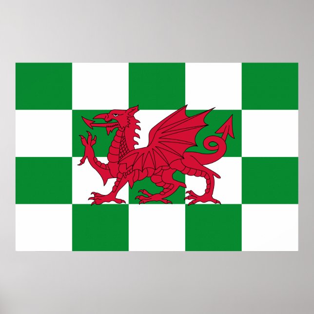 Red Celtic Dragon Flag Chequered Mystical Creature Poster (Front)