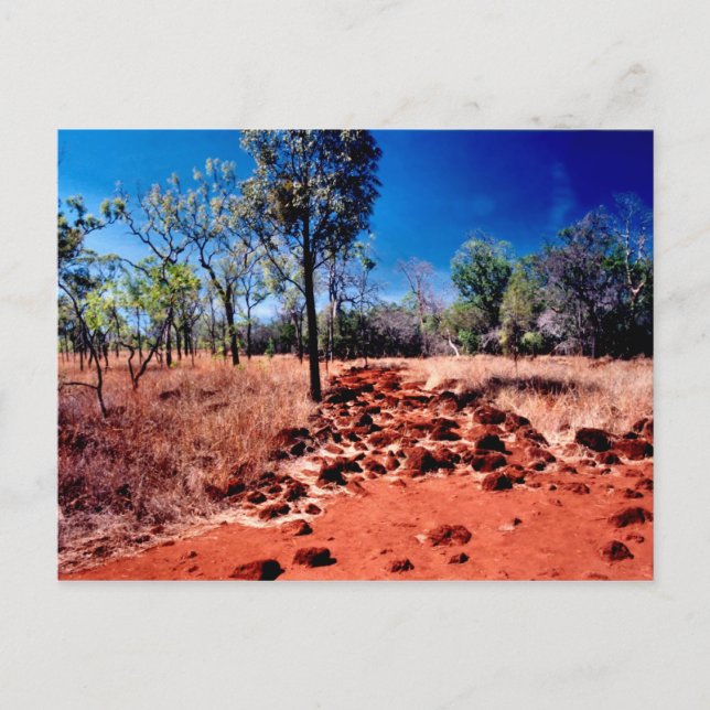 Red Centre Postcard (Front)