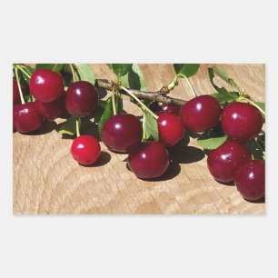 red cherries rectangular sticker