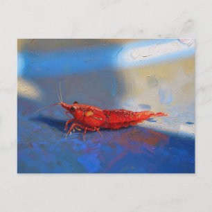 Red cherry shrimp postcard