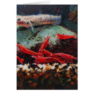Red cherry shrimps and stiphodon Postcard