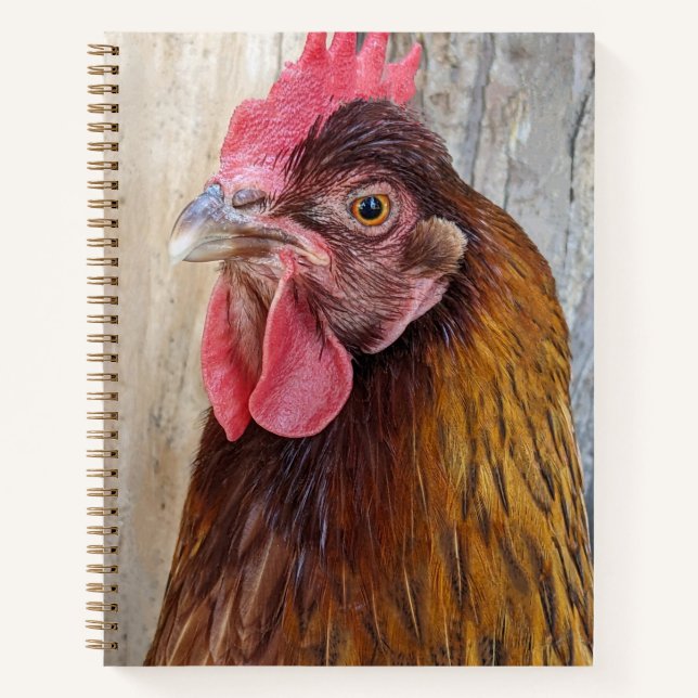 Red Chicken Hen Photo Notebook (Front)