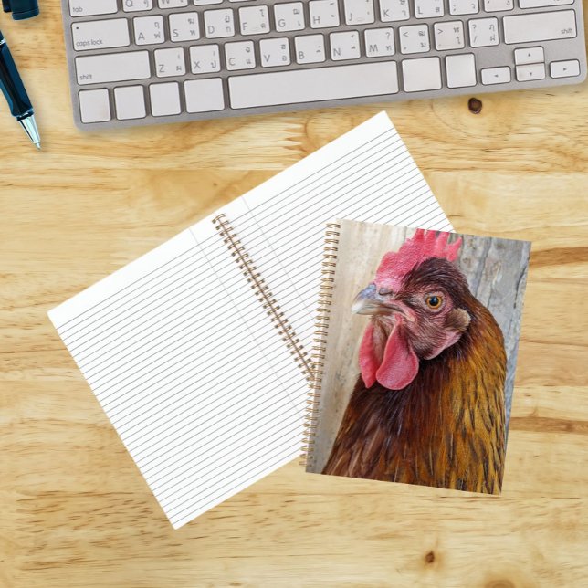 Red Chicken Hen Photo Notebook (In Situ)