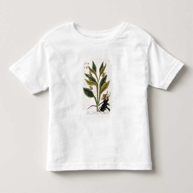 Red Chilli (colour engraving) Toddler T-Shirt (Front)