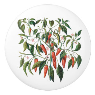 Red Chilli Peppers Botanical Round Knob