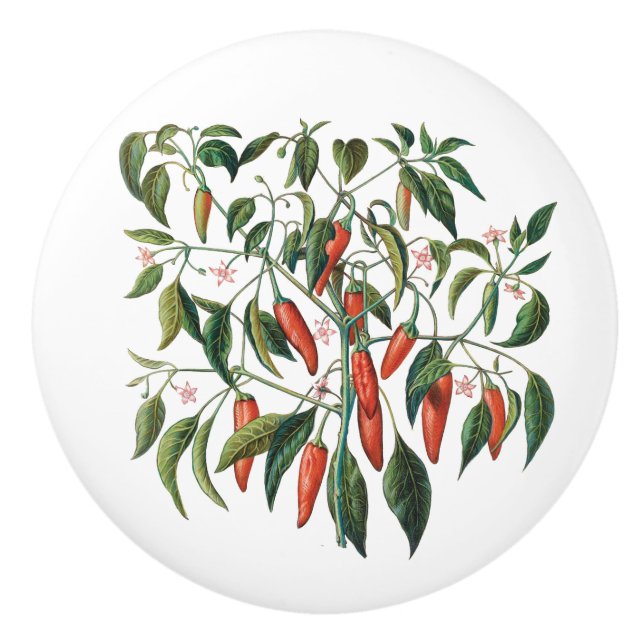 Red Chilli Peppers Botanical  Round Knob (Front)