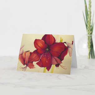 Red Christmas Amaryllis Painting Greeting Card