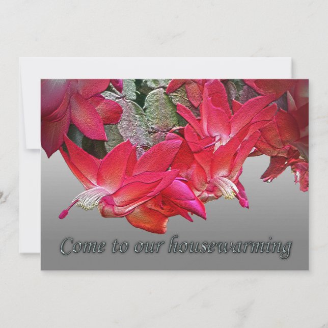 Red Christmas Cactus Housewarming Invitation (Front)