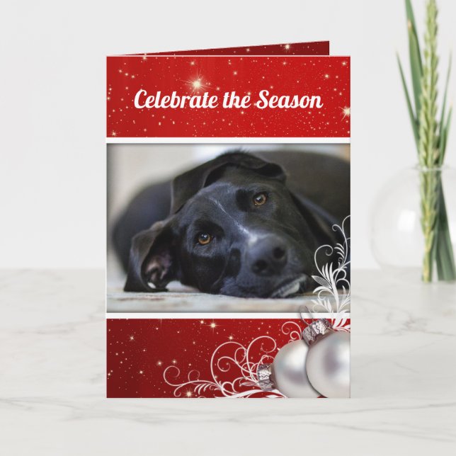 Red Christmas Family Pet Photo Greeting Holiday Card (Front)