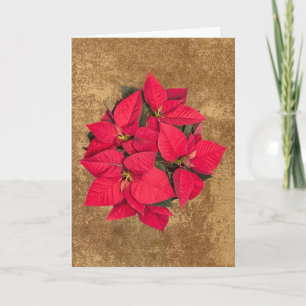 Red Christmas flower on abstract gold paper Holiday Card