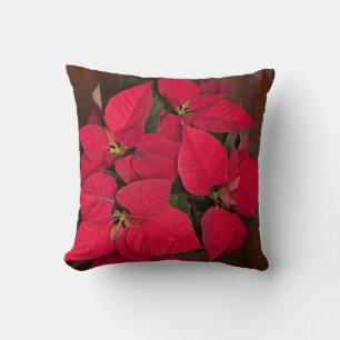 Red Christmas flower on brown Cushion