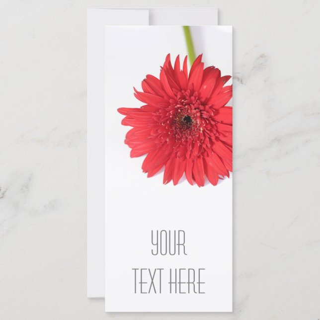 Red Chrysanthemum Your Text Flat Card (Front)