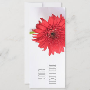 Red Chrysanthemum Your Text Flat Card