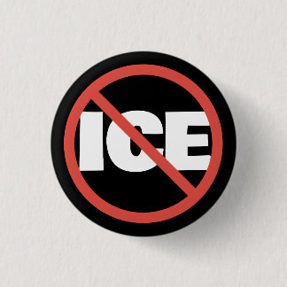Red Circle Anti-Trump ICE Political Opinion 3 Cm Round Badge
