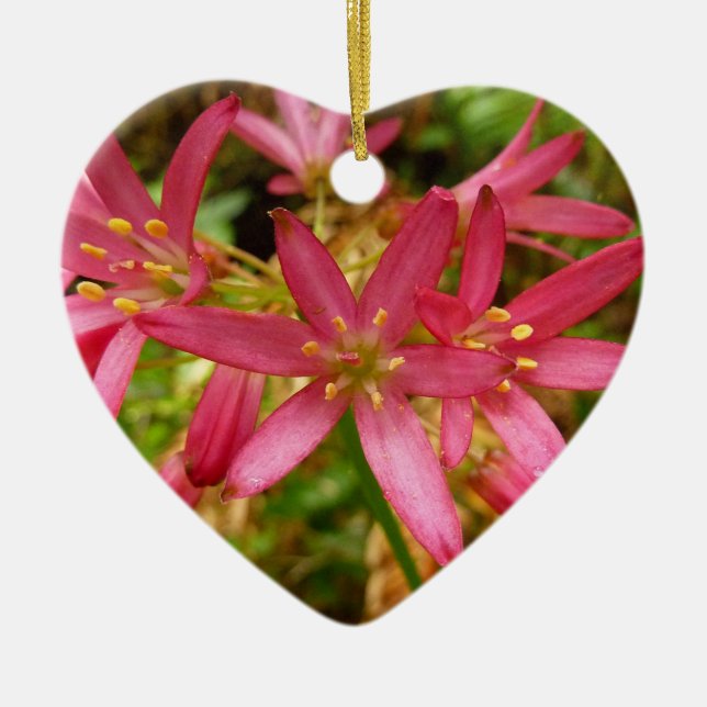 Red Clintonia Flowers at Redwoods Ceramic Tree Decoration (Front)