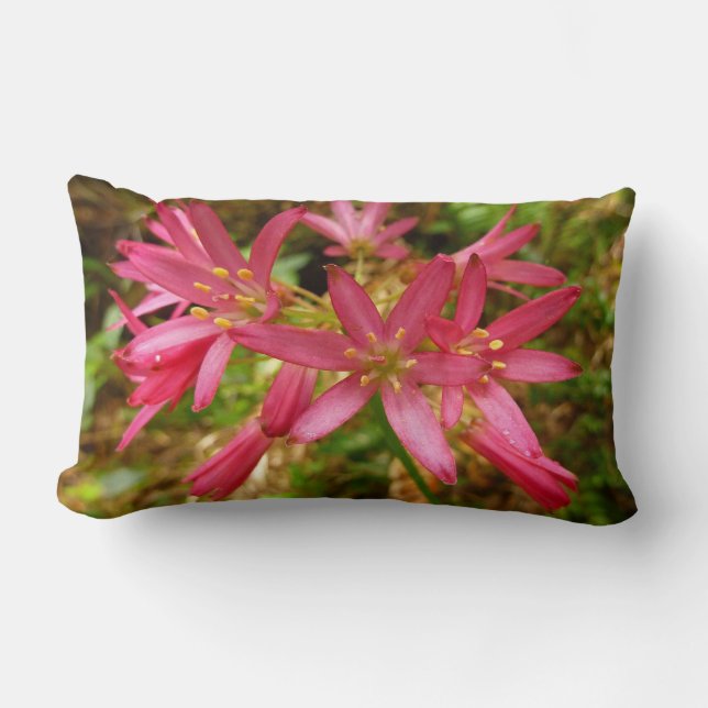 Red Clintonia Flowers at Redwoods Lumbar Cushion (Front)