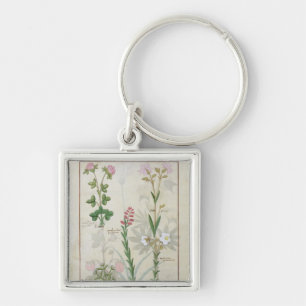 Red clover & Aube Bellidis Onobrychis & Hyssopus Key Ring