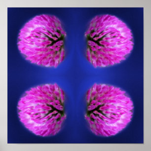 Red Clover Wildflower Abstract  Poster