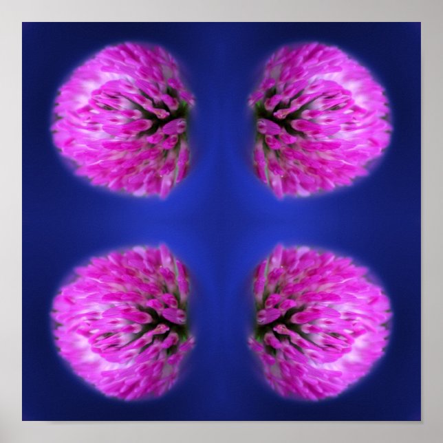 Red Clover Wildflower Abstract  Poster (Front)