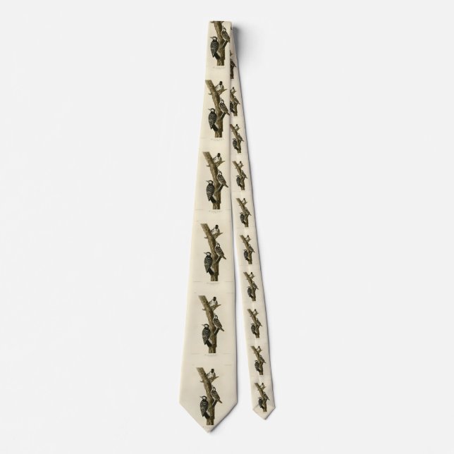 Red-Cockaded Woodpecker Audubon's Birds of America Tie (Front)