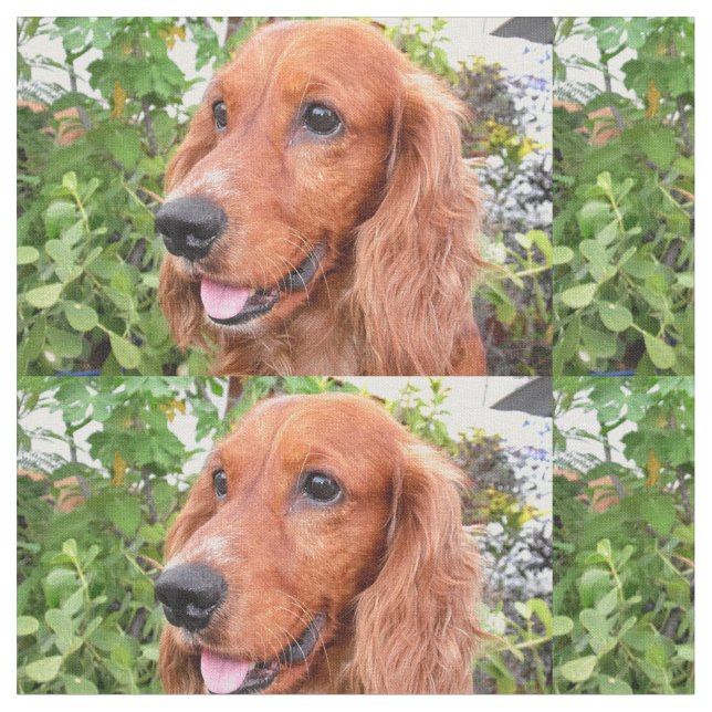 red cocker-spaniel-.png fabric (Close Up)