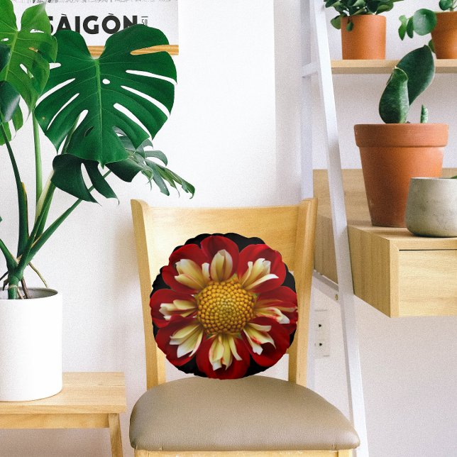 Red Collarette Dahlia Floral on Black Round Cushion (In Situ Chair)