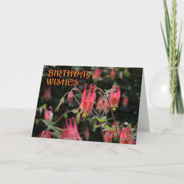 Red Columbine Birthday Card (Front)