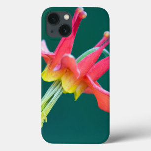 Red Columbine iPhone 13 Case