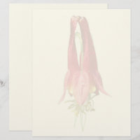 Red Columbine Flower 