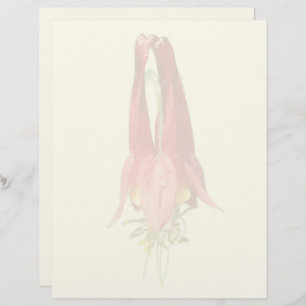 Red Columbine Flower  Custom Letterhead