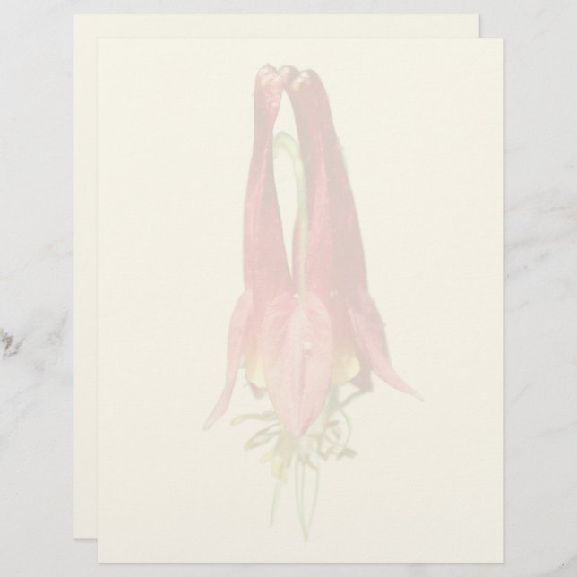 Red Columbine Flower  Custom Letterhead (Front/Back)