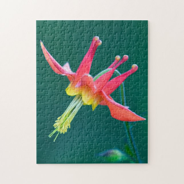 Red Columbine Jigsaw Puzzle (Vertical)