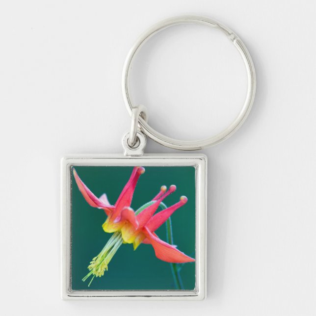 Red Columbine Key Ring (Front)
