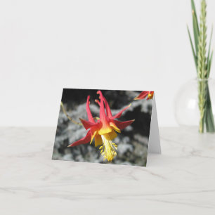 Red Columbine Note Card