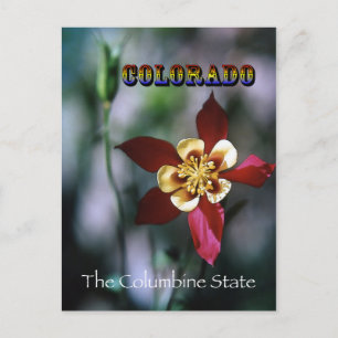 Red Columbine - Vintage Style Postcard